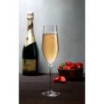 p66079-nude-vinifera-champagne-flute-750x750
